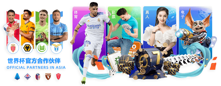 季后赛焦点,浙江对阵新,比赛精华回,世界杯预测,2026世界杯,热门球队分析,战术对比,赛事动态